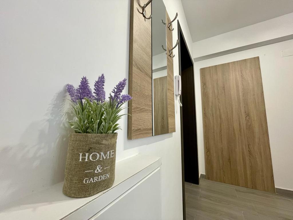 Belvedere Apartments Bukareszt Zewnętrze zdjęcie