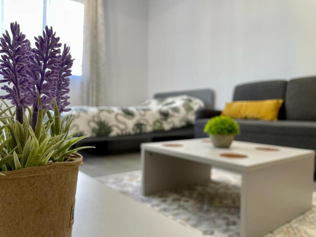 Belvedere Apartments Bukareszt Zewnętrze zdjęcie